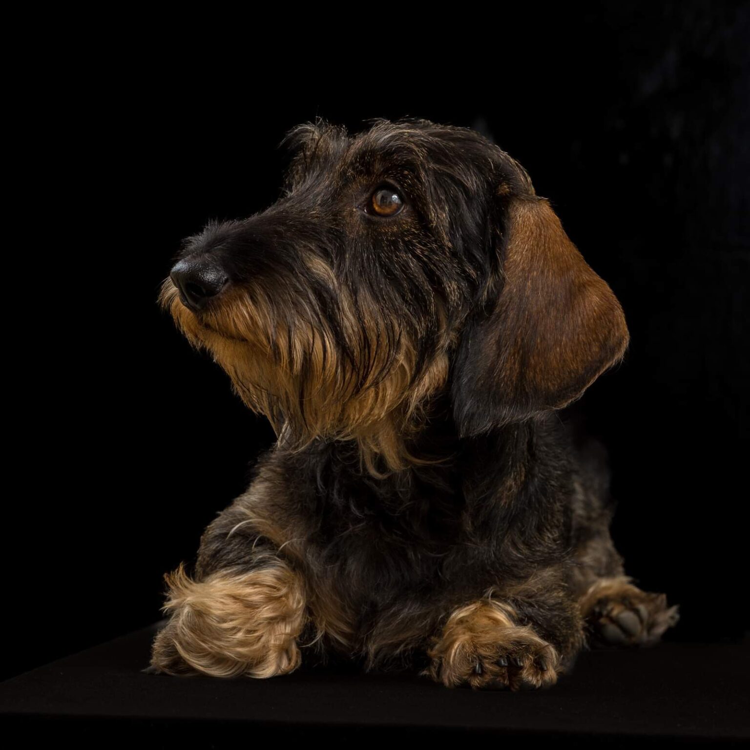 Nach 5 Übungseinheiten Bretano